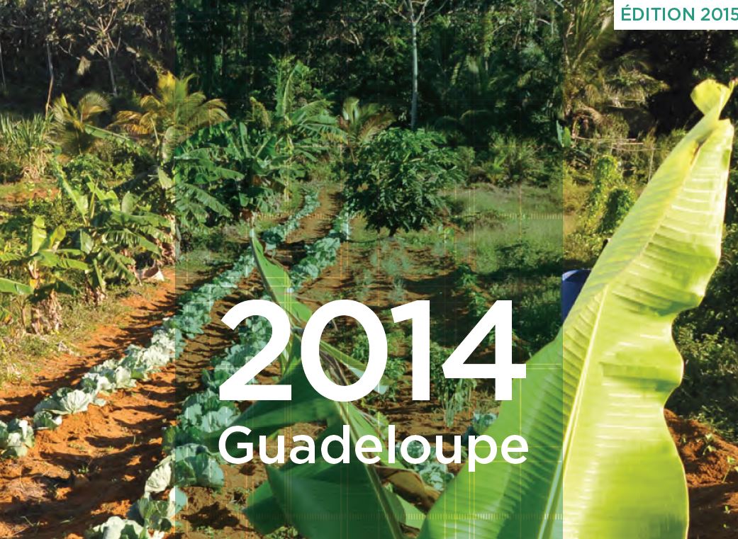Rapport annuel IEDOM Guadeloupe 